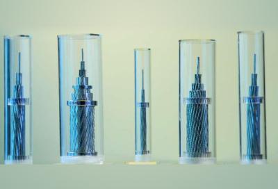 不朽情缘(中国区)官方网站